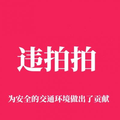 违拍拍是什么